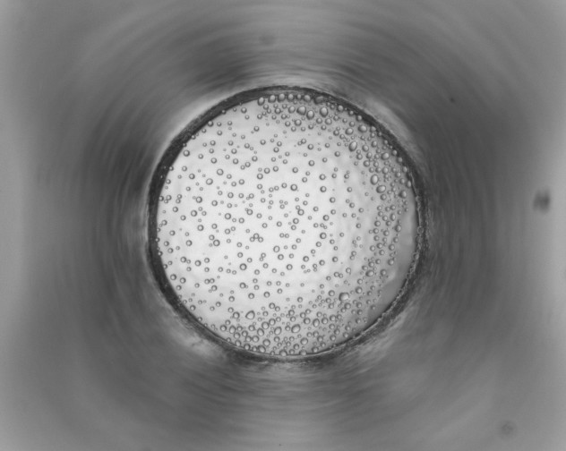 X0000090751028200708172023