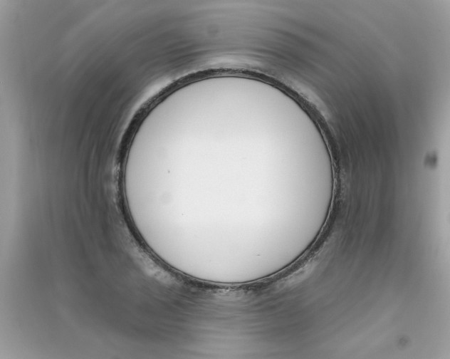 X0000090751029200708172023