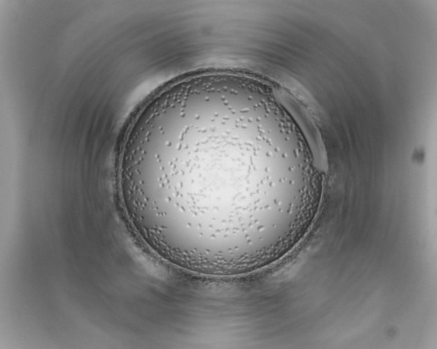 X0000090751030200708172023