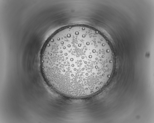 X0000090751031200708172023