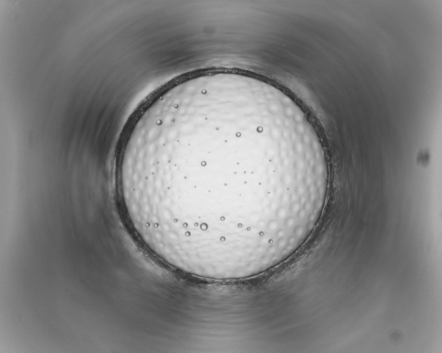 X0000090751032200708172023
