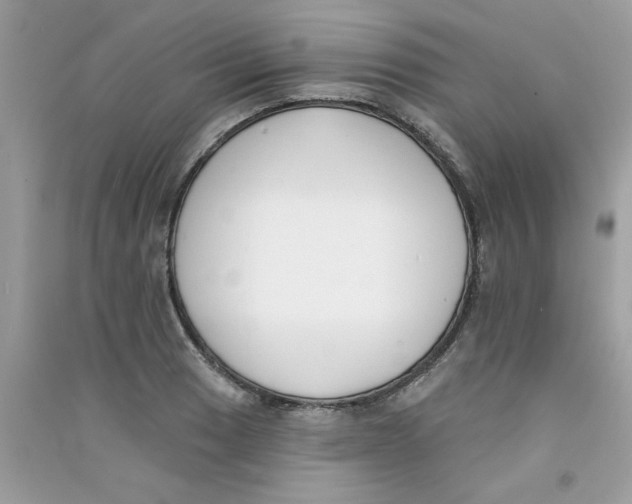 X0000090751033200708172023