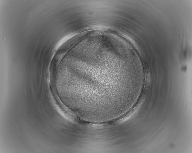 X0000090751034200708172023