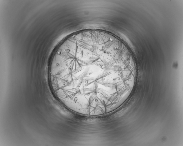 X0000090751035200708172023