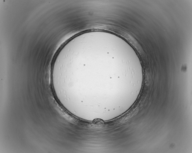 X0000090751036200708172023