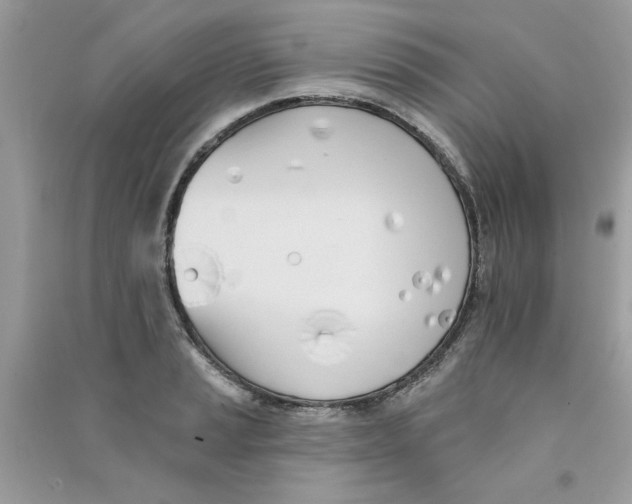 X0000090751037200708172023