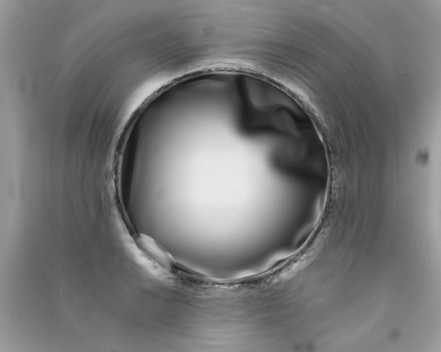 X0000090751038200708172023