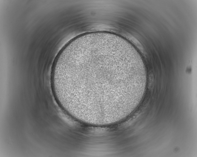 X0000090751039200708172023