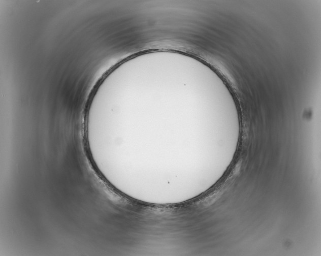 X0000090751040200708172023