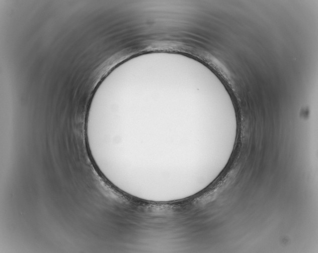 X0000090751041200708172023