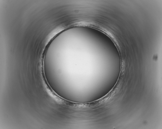 X0000090751042200708172023