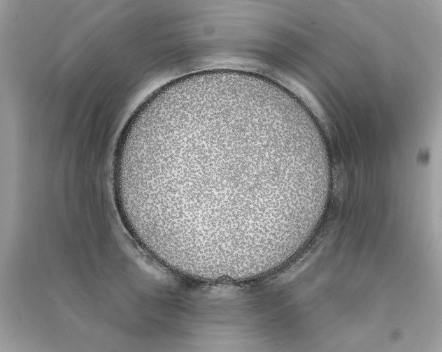 X0000090751043200708172023