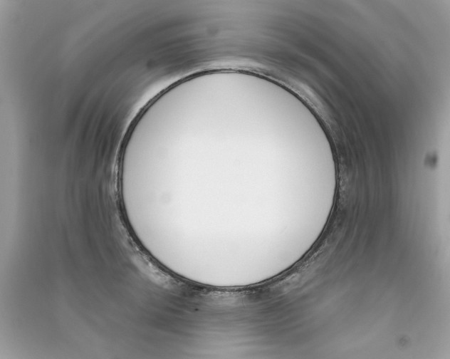 X0000090751044200708172023