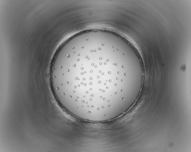 X0000090751045200708172023