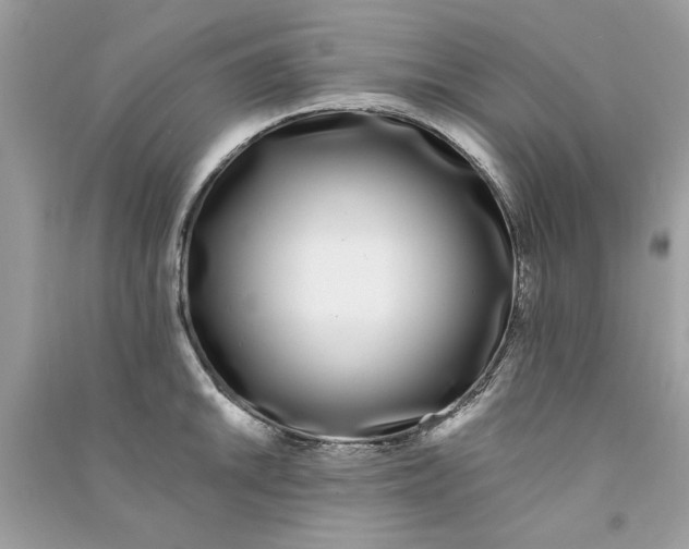 X0000090751046200708172023