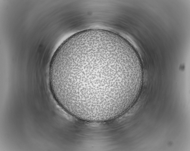 X0000090751048200708172023