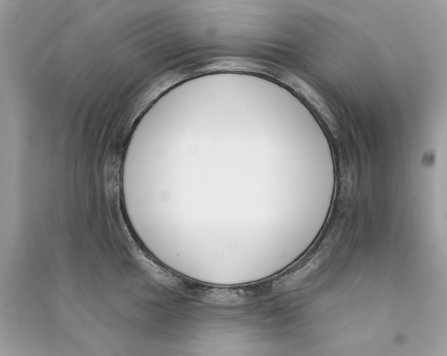 X0000090751049200708172023