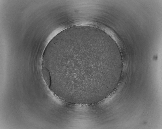 X0000090751050200708172023
