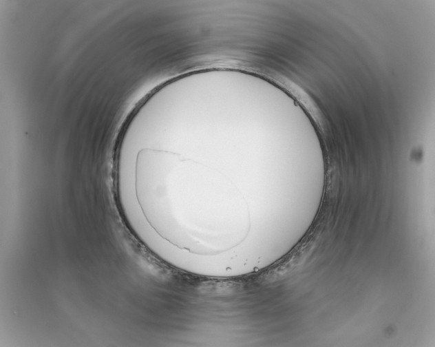 X0000090751051200708172023