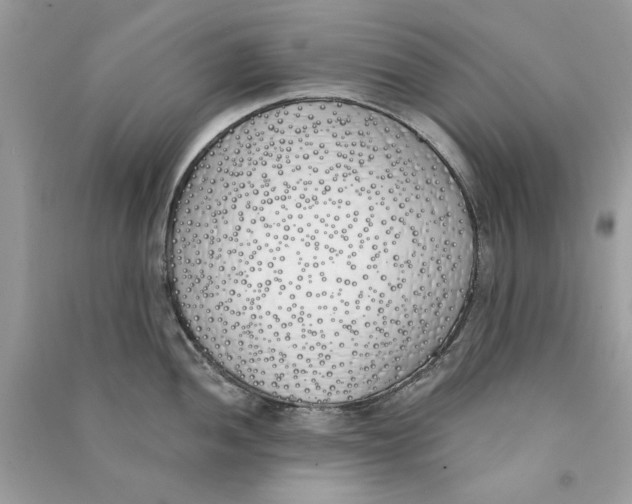 X0000090751052200708172023