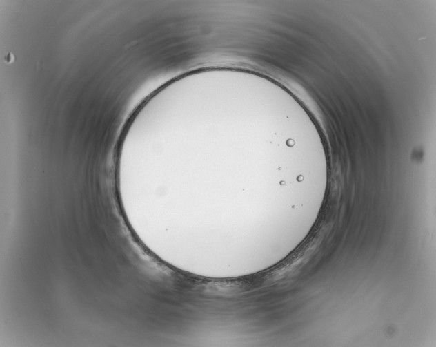 X0000090751053200708172023