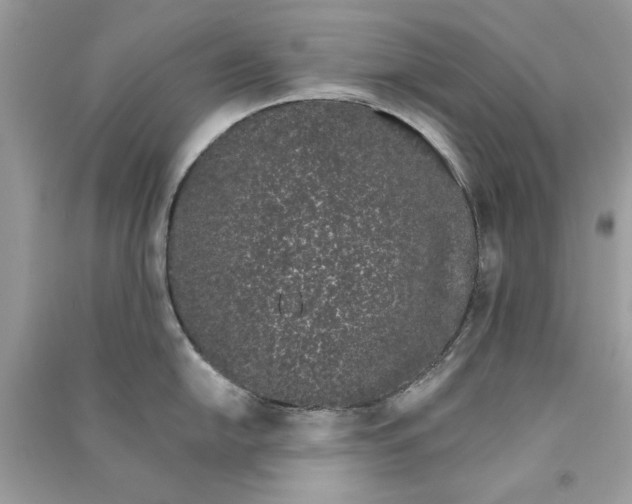 X0000090751054200708172023