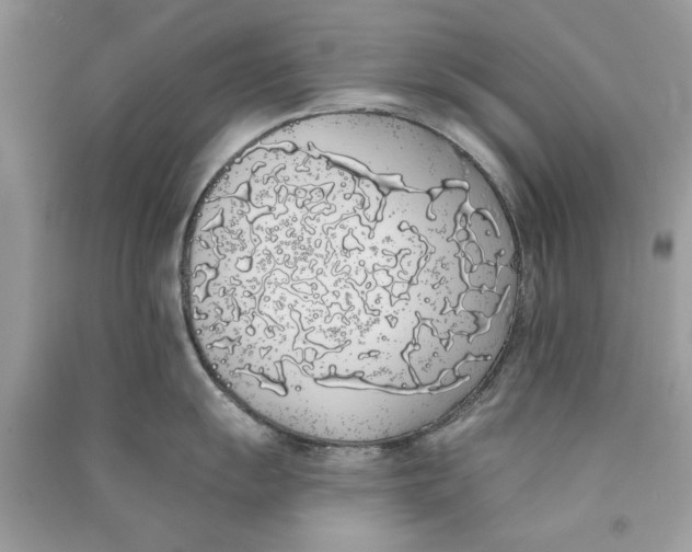 X0000090751055200708172023