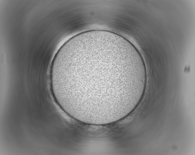 X0000090751056200708172023