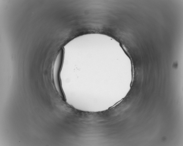 X0000090751057200708172023
