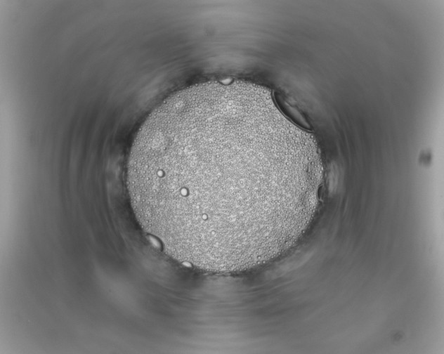 X0000090751059200708172023