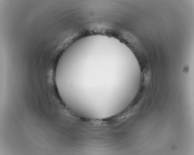 X0000090751060200708172023