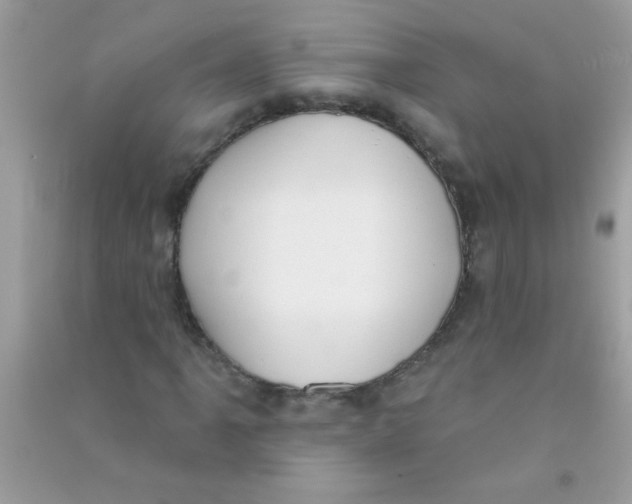 X0000090751061200708172023