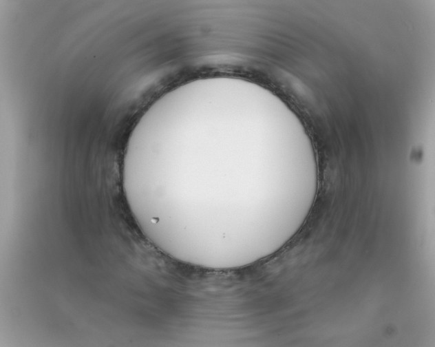 X0000090751062200708172023