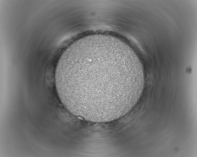 X0000090751063200708172023