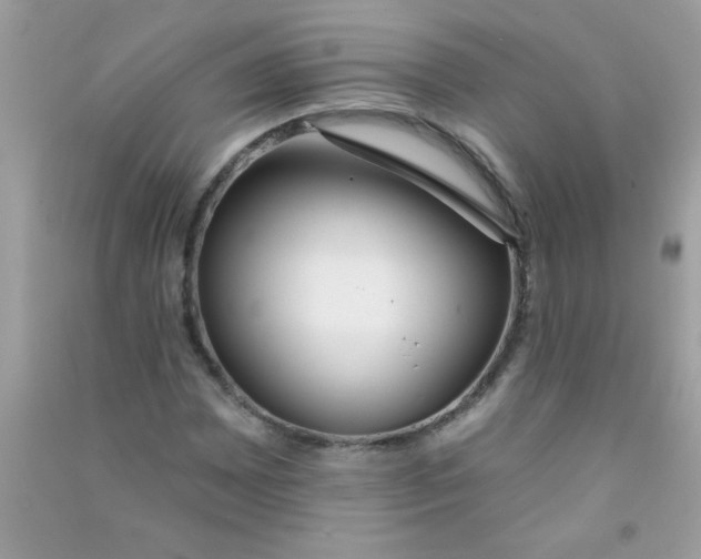 X0000090751065200708172023