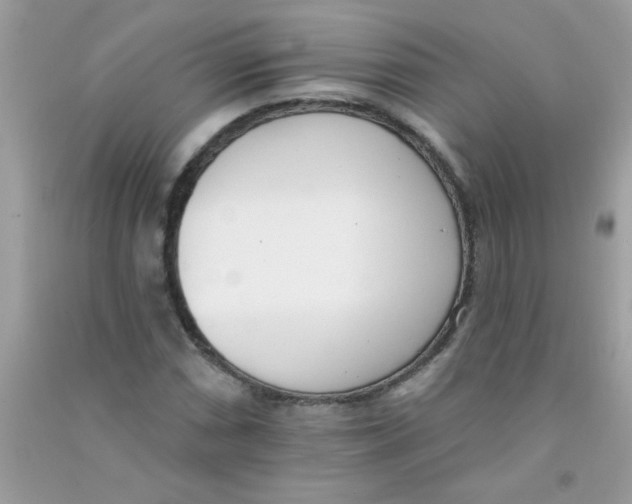 X0000090751066200708172023