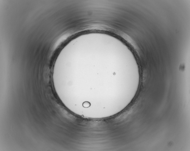 X0000090751067200708172023