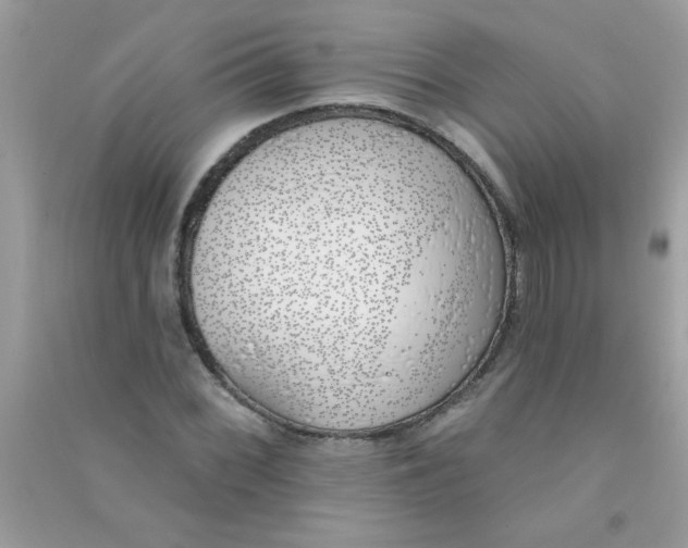 X0000090751068200708172023