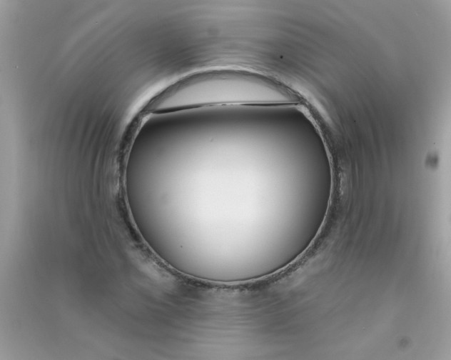 X0000090751069200708172023