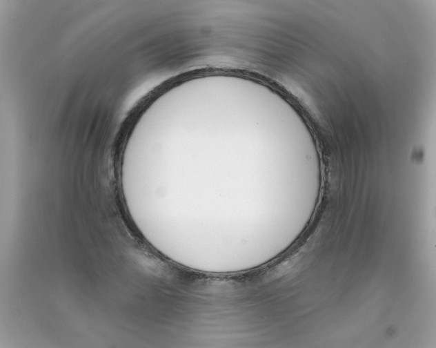 X0000090751070200708172023