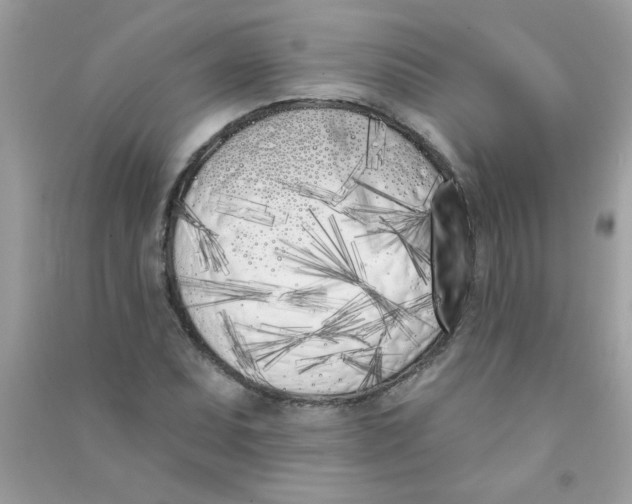 X0000090751071200708172023