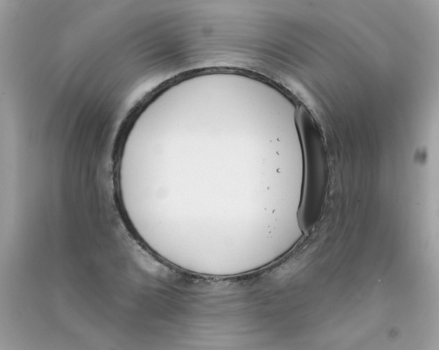 X0000090751072200708172023