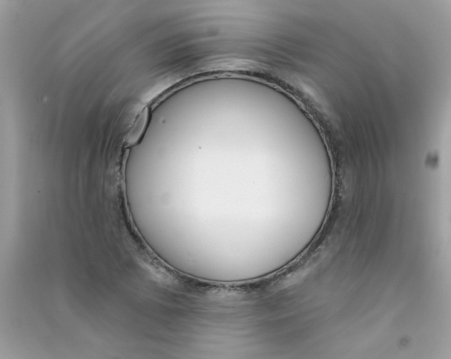 X0000090751073200708172023