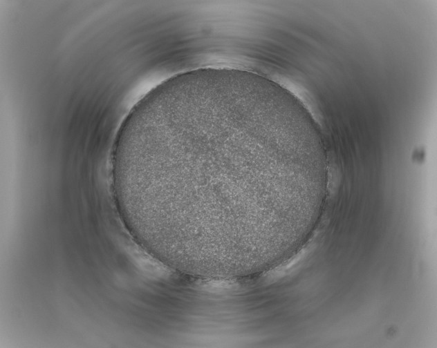 X0000090751074200708172023