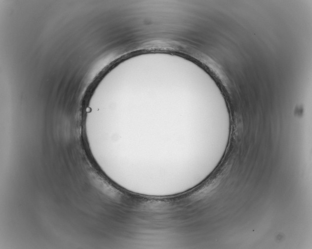 X0000090751075200708172023