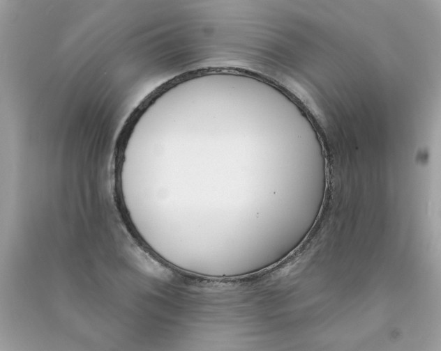 X0000090751076200708172023