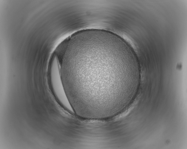 X0000090751077200708172023