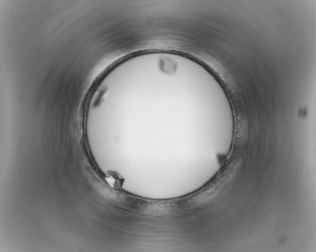 X0000090751078200708172022