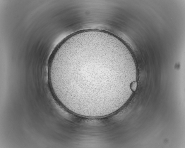 X0000090751079200708172022