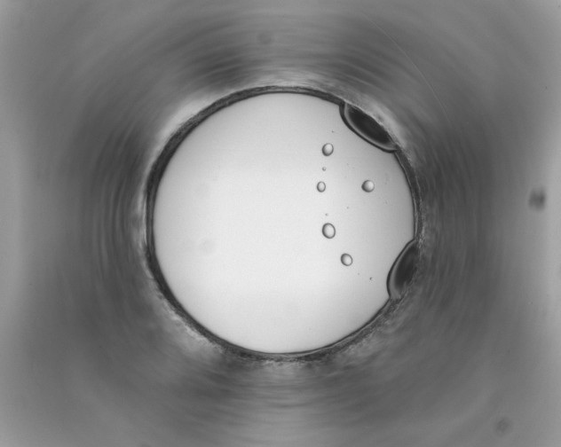 X0000090751080200708172022
